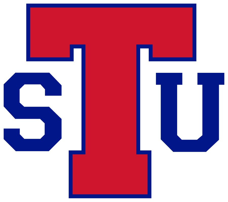 Tennessee State Tigers 2021-Pres Secondary Logo v5 diy iron on heat transfer